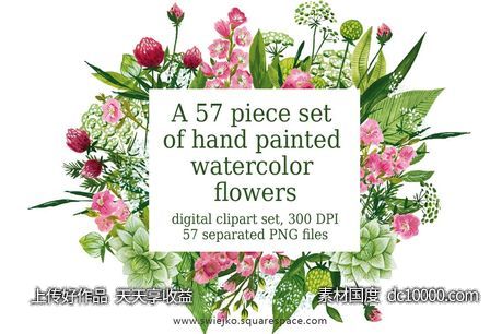 57种手绘花卉和叶子插画 Watercolor flowers painting-源文件-素材国度dc10000.com