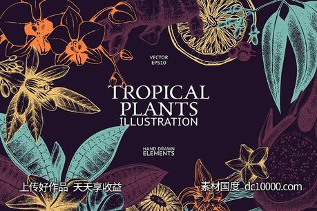 热带植物和花卉矢量图形 Vector Tropical Plants  Flowers-源文件-素材国度dc10000.com