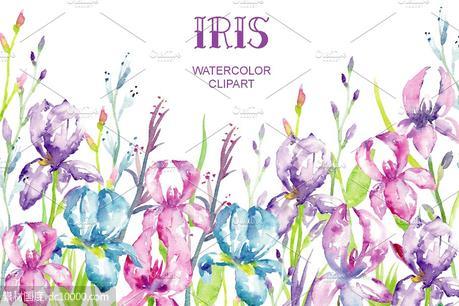 蓝紫色鸢尾属植物花卉水彩插画 Watercolor Blue Purple Iris Clipart - 源文件