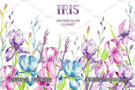 蓝紫色鸢尾属植物花卉水彩插画 Watercolor Blue Purple Iris Clipart - 源文件