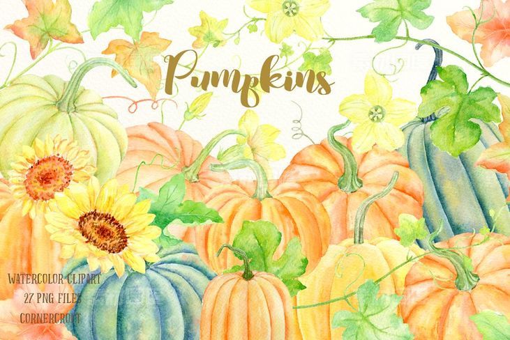南瓜（藤、叶子 花）水彩剪贴画纹理 Watercolour Clipart Pumpkins