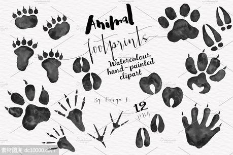 各种各样林地动物足迹剪贴画 Woodland Animals Foot Prints Set - 源文件