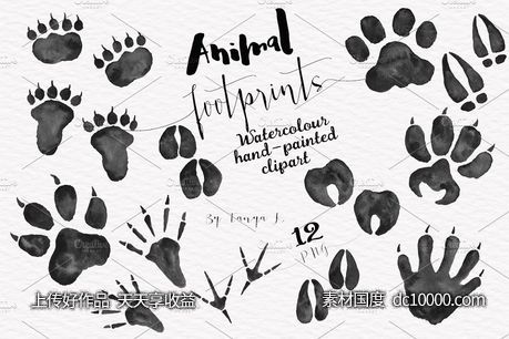 各种各样林地动物足迹剪贴画 Woodland Animals Foot Prints Set-源文件-素材国度dc10000.com