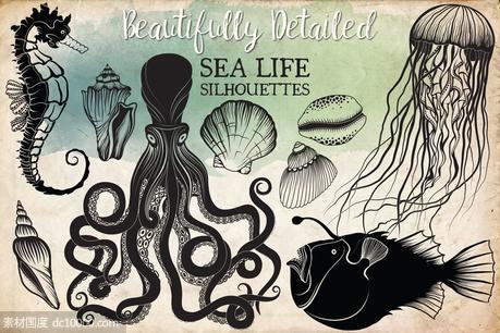 手绘海洋生活剪贴画素材 Hand Drawn Ocean Life Clipart - 源文件