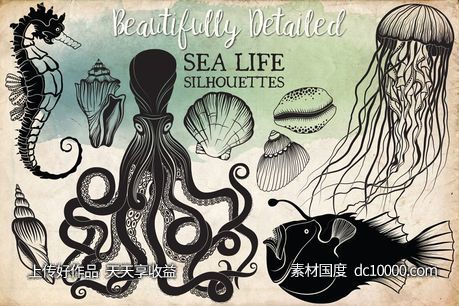 手绘海洋生活剪贴画素材 Hand Drawn Ocean Life Clipart - 源文件