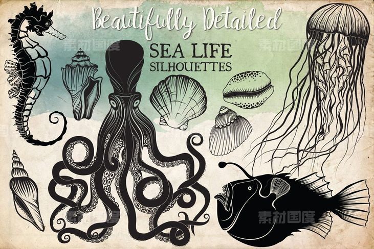 手绘海洋生活剪贴画素材 Hand Drawn Ocean Life Clipart