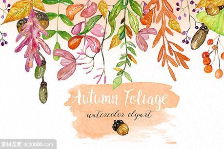 秋天树叶水彩插画 Autumn foliage Watercolor images - 源文件