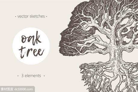 老橡树素描矢量插画 Illustration of an old oak tree - 源文件
