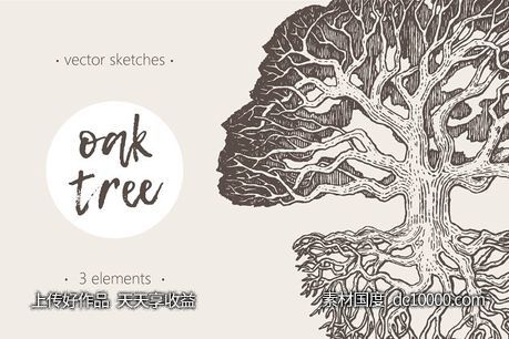 老橡树素描矢量插画 Illustration of an old oak tree - 源文件