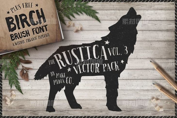 西方乡村元素字体笔刷 Rustica Vol 3  Birch Brush Font