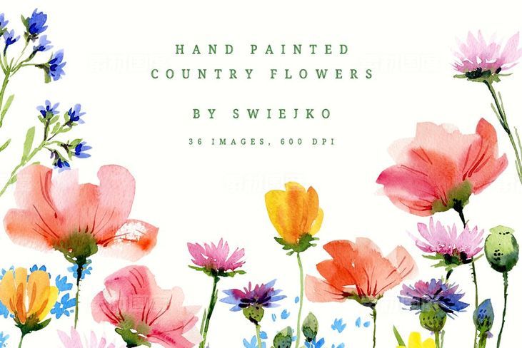 手绘城市花卉图形 Hand painted country flowers
