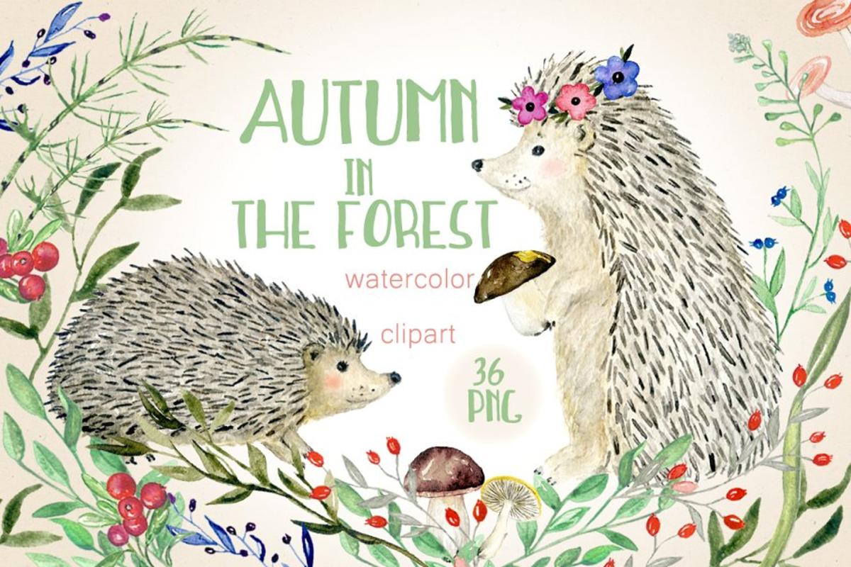 秋天与刺猬的故事水彩剪贴画 Autumn in the forest. Hedgehogs