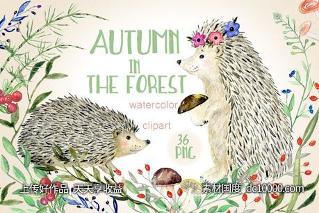 秋天与刺猬的故事水彩剪贴画 Autumn in the forest. Hedgehogs-源文件-素材国度dc10000.com