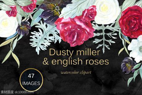 英国玫瑰花水彩剪贴画 Dusty miller  english roses clipart - 源文件