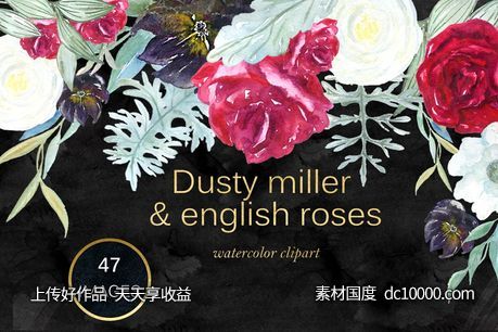 英国玫瑰花水彩剪贴画 Dusty miller  english roses clipart-源文件-素材国度dc10000.com