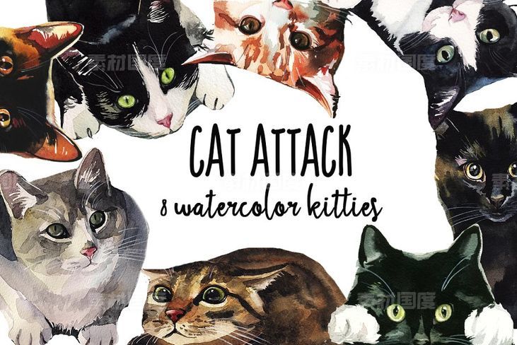8款愤怒的小猫水彩剪贴画 Cat Attack Watercolor PNG Collection