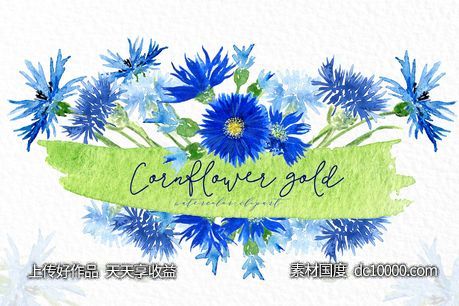 矢车菊金色水彩剪贴画 Cornflowers gold Watercolor clipart-源文件-素材国度dc10000.com
