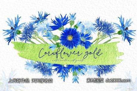 矢车菊金色水彩剪贴画 Cornflowers gold Watercolor clipart - 源文件