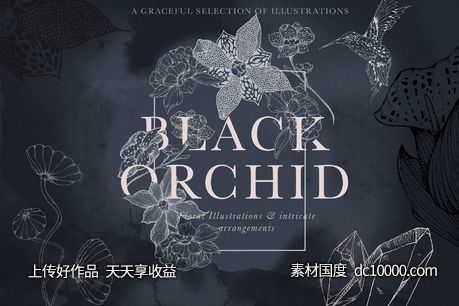 虚实结合黑色背景手绘矢量花卉图形素材 Black Orchid Illustration Set-源文件-素材国度dc10000.com