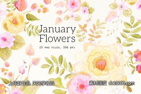 手绘水彩花卉剪贴画 January Flowers - 源文件