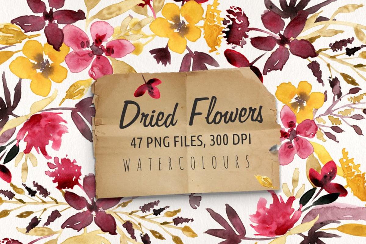 花卉标本水彩剪切画 Dried Flowers