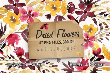 花卉标本水彩剪切画 Dried Flowers-源文件-素材国度dc10000.com