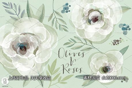 水彩白玫瑰和橄榄枝矢量图形 Watercolor white roses and olive - 源文件