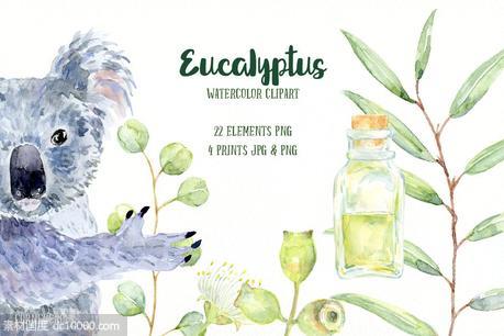 桉树与考拉水彩剪贴画 Watercolor Eucalyptus Koala Clip Art - 源文件