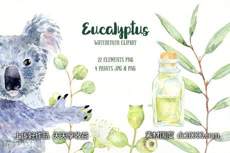 桉树与考拉水彩剪贴画 Watercolor Eucalyptus Koala Clip Art-源文件-素材国度dc10000.com