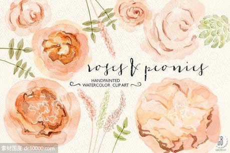 牡丹朱丽叶玫瑰水彩画设计素材 Watercolor peonies juliet roses - 源文件