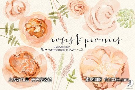 牡丹朱丽叶玫瑰水彩画设计素材 Watercolor peonies juliet roses-源文件-素材国度dc10000.com