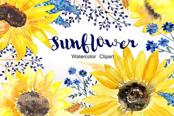 向日葵水彩剪贴画 Sunflower Watercolor Clipart