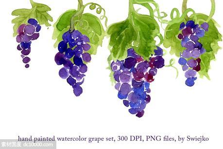 紫葡萄水彩剪贴画图案 Watercolor Grapes - 源文件