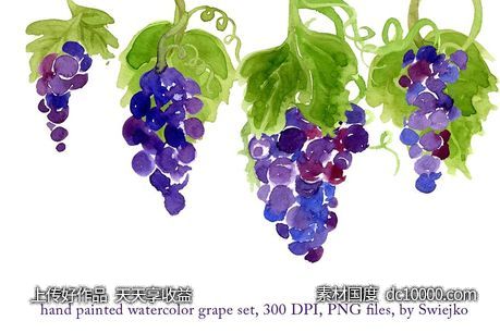 紫葡萄水彩剪贴画图案 Watercolor Grapes-源文件-素材国度dc10000.com