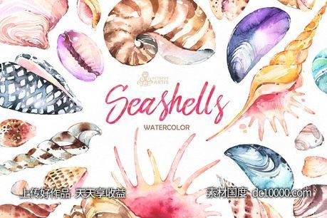 奇形怪状的贝壳水彩画素材集合 Seashells Watercolor collection - 源文件