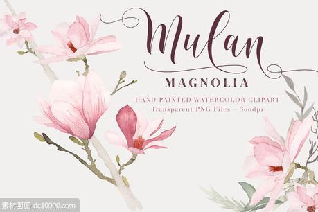 水彩玉兰花剪切画素材 Watercolor Magnolia Floral Clipart - 源文件