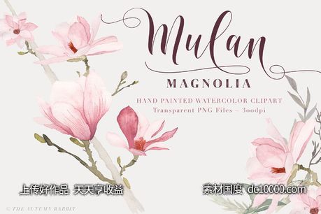 水彩玉兰花剪切画素材 Watercolor Magnolia Floral Clipart-源文件-素材国度dc10000.com