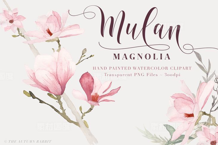 水彩玉兰花剪切画素材 Watercolor Magnolia Floral Clipart