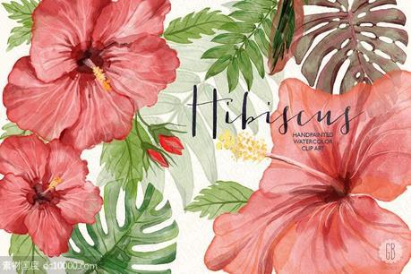 红芙蓉水彩剪切画 Watercolor red hibiscus tropical - 源文件