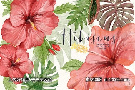 红芙蓉水彩剪切画 Watercolor red hibiscus tropical-源文件-素材国度dc10000.com