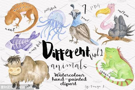 水彩动物剪切画 Different Watercolor Animals Vol.2 - 源文件