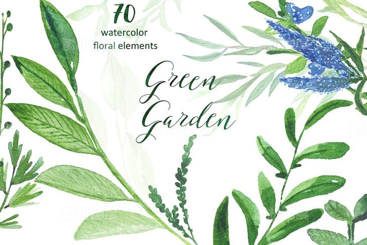 绿色花园水彩素材集 Green garden Watercolor collection