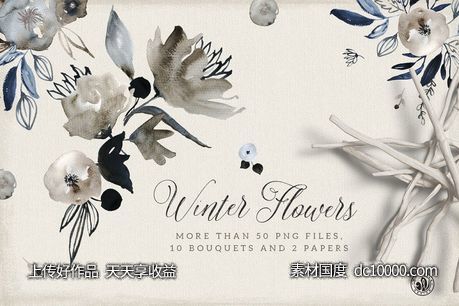 冬天花卉水彩剪贴画 Winter Flowers-源文件-素材国度dc10000.com