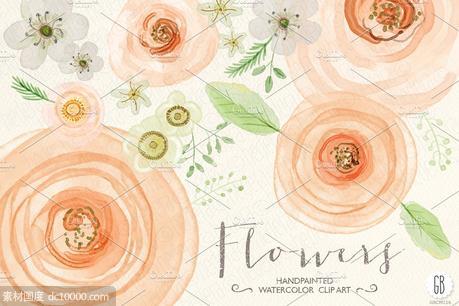 花卉蔷薇毛茛等水彩元素 Watercolor flowers rose ranunculus - 源文件