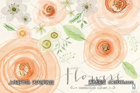 花卉蔷薇毛茛等水彩元素 Watercolor flowers rose ranunculus - 源文件