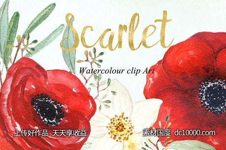 银莲花水彩剪贴画 Anemones scarlet Watercolour clipart-源文件-素材国度dc10000.com