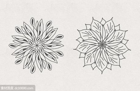 矢量花卉素材 Vector Floral Radial Illustrations [AI, SVG] - 源文件