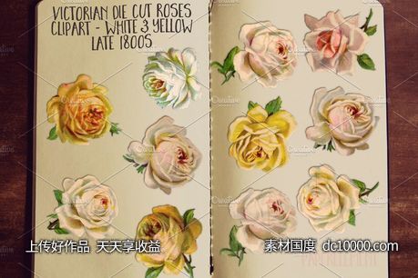 黄色白色玫瑰花剪贴画 Yellow  White Rose Clip Art Flowers - 源文件