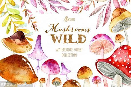 野生蘑菇森林元素素材集 Wild Mushrooms Forest Collection - 源文件