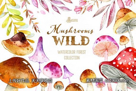 野生蘑菇森林元素素材集 Wild Mushrooms Forest Collection-源文件-素材国度dc10000.com